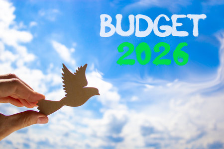 Budget 2026 symbol. Concept words Budget 2026 on beautiful blue sky. Beautiful blue sky background. Businessman's hand holds wooden bird. Business and budget 2026 concept. Copy space.の写真素材