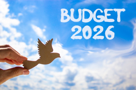 Budget 2026 symbol. Concept words Budget 2026 on beautiful blue sky. Beautiful blue sky background. Businessman's hand holds wooden bird. Business and budget 2026 concept. Copy space.の写真素材