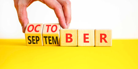Symbol for the change from September to October. Concept words October to November on beautiful wooden blocks. Beautiful white background. Happy October concept. Copy space.の写真素材