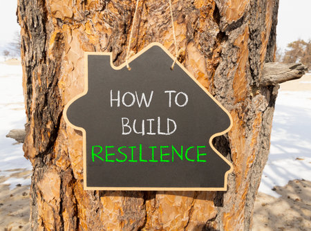 How to build resilience symbol. Concept words How to build resilience on beautiful blackboard. Beautiful old tree background. Business how to build resilience concept. Copy space.