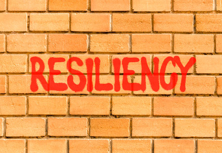 Resilience symbol. Concept word Resiliency on beautiful big brown brick wall. Beautiful big brown brick wall background. Business resiliency concept. Copy space.