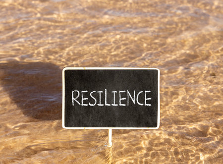 Resilience symbol. Concept word Resilience on beautiful black blackboard. Beautiful Red sea water background. Business resilience concept. Copy space.の写真素材