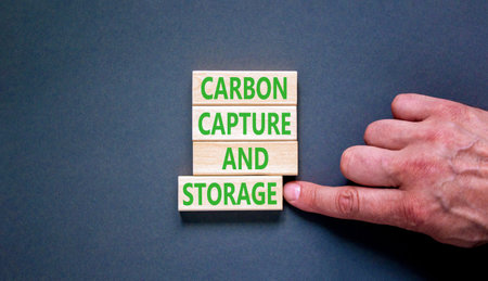 Carbon capture and storage words symbol. Concept words Carbon capture and storage on beautiful wooden blocks. Beautiful grey background. Business carbon capture and storage concept. Copy space.