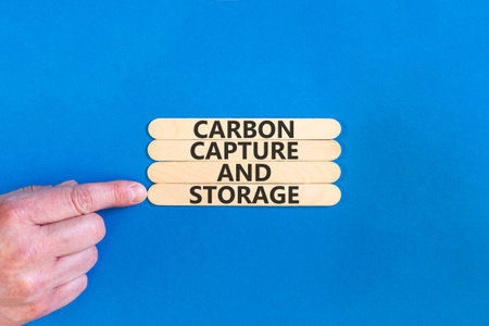 Carbon capture and storage words symbol. Concept words Carbon capture and storage on beautiful wooden sticks. Beautiful blue background. Business carbon capture and storage concept. Copy space.