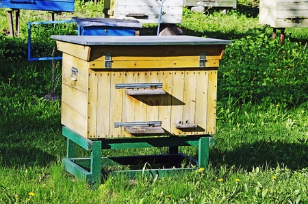 Bee apiary - large wooden beehive
