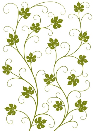 Vine and leaves patternのイラスト素材