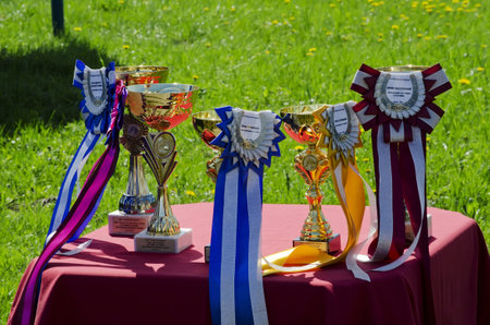 LVIV, UKRAINE - APRIL 28, 2012: Opening the season at Lviv hippodrome. In the photo - prizes for the athletes.のeditorial素材