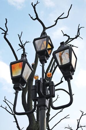 Street lamp and treeの写真素材