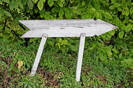 Wooden arrow-pointer against a background of green leavesの写真素材