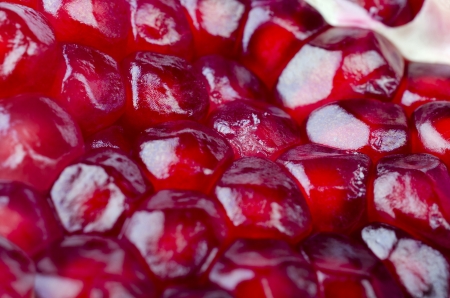 Food background - Pomegranate closeup, isolated over whiteの写真素材
