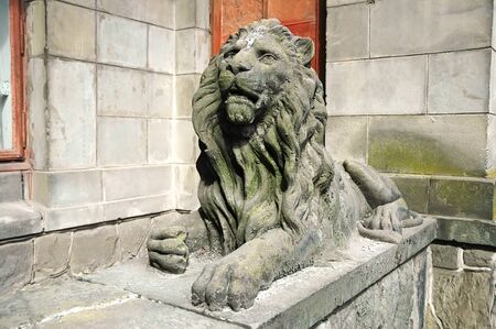 Architecture landmark - Sculpture of lion in Lvov, Ukraineの写真素材