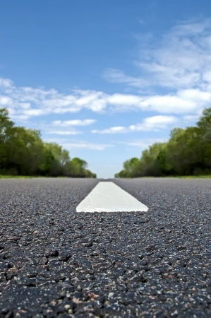 Road between treesの写真素材