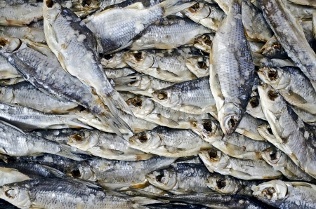 Beautiful food background - dried fish close-upの写真素材