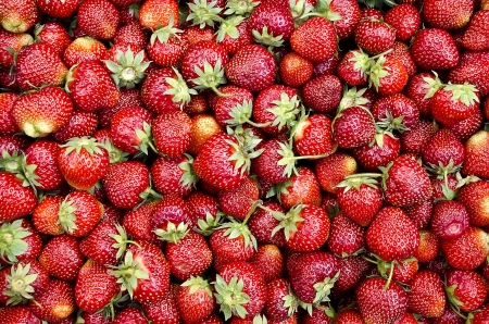 Beautiful food background - tasty fresh strawberry close-upの写真素材
