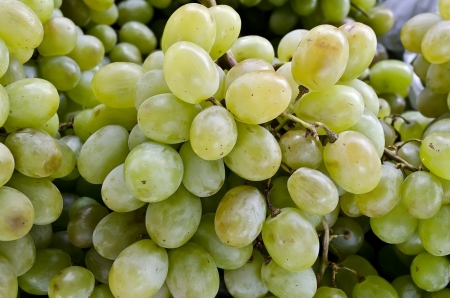 Beautiful food background - bunch of green grapes close-upの写真素材