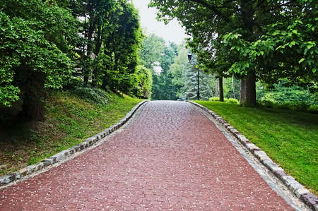 Nature landscape - Paved walkway in the park in Lvov, Ukraineの写真素材