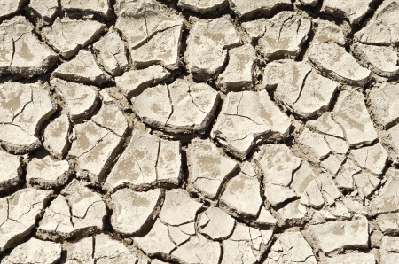 The texture of dry cracked earth close-upの写真素材