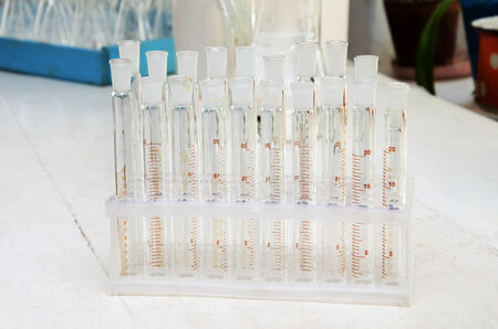 Many tubes close-up in the chemical laboratory