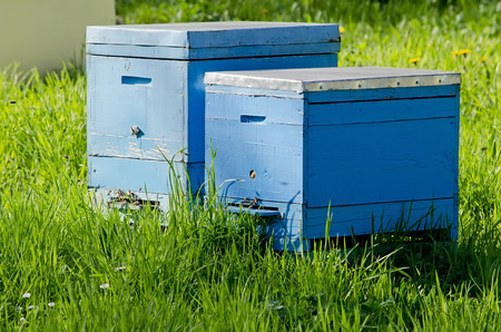 Agricultural landscape - Two bee hives in the apiary
