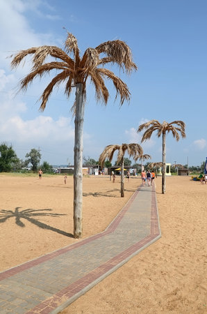 KERCH, CRIMEA, RUSSIA - AUGUST 17: Palms along the track on the city beach on August 17, 2015 in Kerch, Crimea, Russiaのeditorial素材
