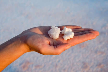 Salt crystals lying in hand. Kojashsky lake, Opuk nature reserve, Crimea
