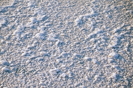 Natural background - Salt crystals closeup on the surface of salt lakes in the Opuk nature reserve, Crimeaの写真素材
