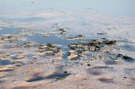 Salty brine closeup Kojashsky lake in the Opuk nature reservee, Crimea