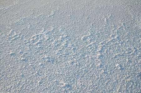 Salt crystals on the surface of salt lakes in the Opuk nature reserve, Crimeaの写真素材