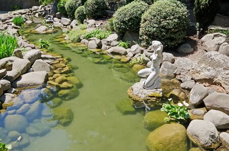 Wild pond in the park の写真素材