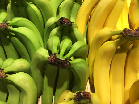 Green and yellow ripe bananas closeupの写真素材