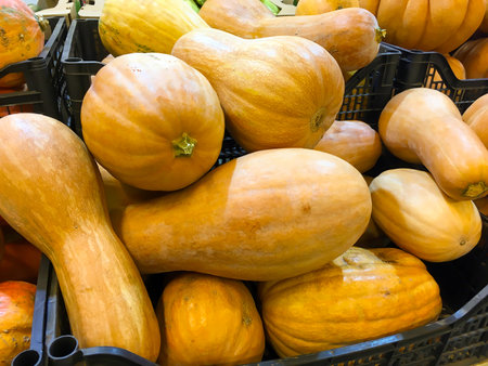 A pile of ripe yellow pumpkin in crates in the storeの写真素材