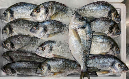 Fresh dorado fish (aka golden spar, sea carp or bream) are laid out in a box for sale