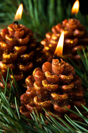 Three candles like pine cones burning in evergreen needlesの写真素材