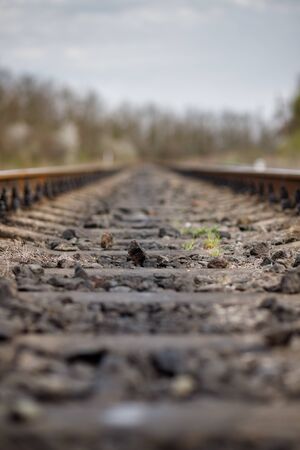 railroad tracks in the forestの写真素材