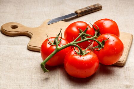 Juicy red tomatoes on a cutting board and a knifeの写真素材