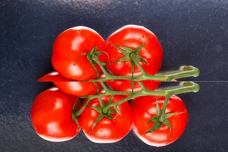 Juicy red tomatoes on a branchの写真素材