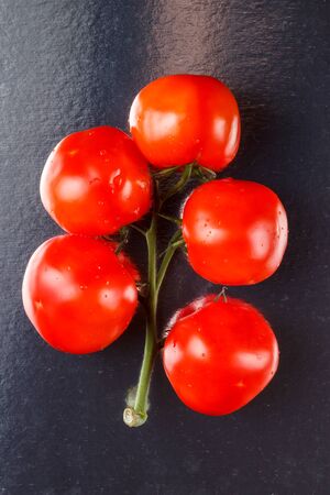 Juicy red tomatoes on a branchの写真素材