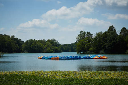 Color landscape, background. Summer forest and pond.の写真素材