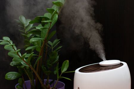 Vapor from humidifier near houseplants on black background