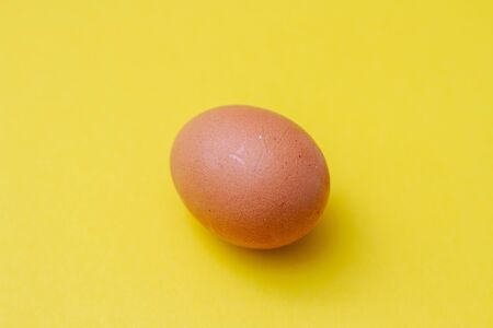 a one brown chicken egg on a yellow background