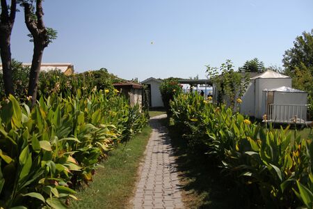 Brick walkway to the sea through palm branches and flowers on resort.の写真素材