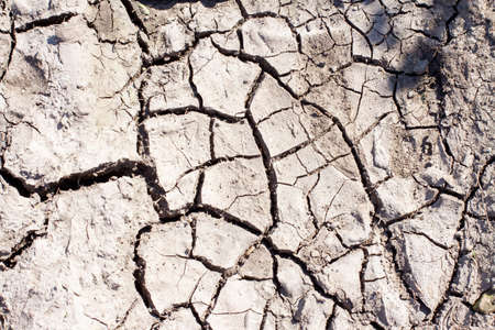 Black soil ground which is drying up and cracking due to lack of rain.の写真素材