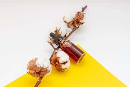 A branch of cotton and a bottle of oil. Natural cosmetic. Beauty treatment. Organic spa cosmetic.の写真素材