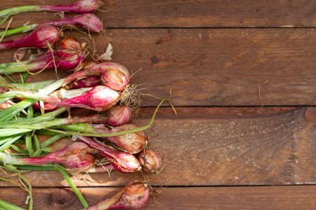 Full Frame Shot Of Spring purple onion background. Healthy fresh food.の写真素材