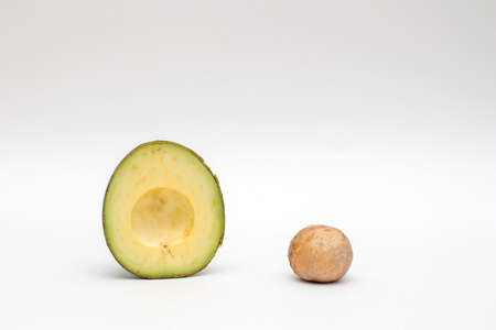 Avocado with seed isolated on white backgroundの写真素材