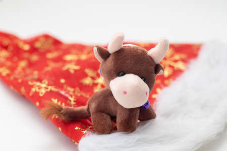 Christmas toy Bull symbol of the new year 2021 on the on santa claus hat.の写真素材