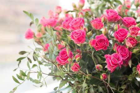 Pink spray roses bouquet on the window.の写真素材