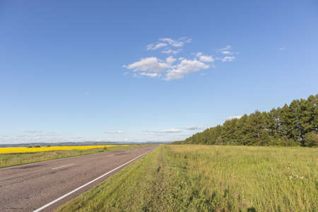 Empty asphalt road and yellow flowers field with the blue sky.の写真素材