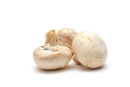 Pile of ripe champignons isolated on white background.の写真素材