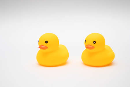 Yellow Rubber Ducks on white background.の写真素材